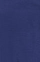 Medieval Blue 193933