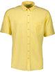 LT YELLOW
