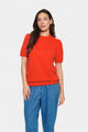 Poinciana 181564