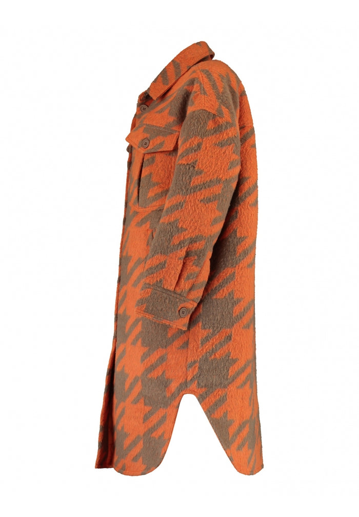 Modell: LS P CT Merle