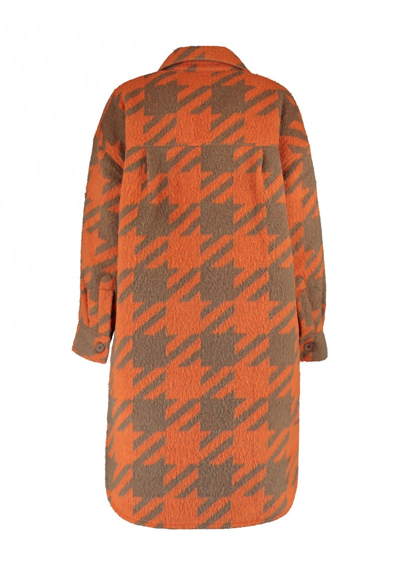 Modell: LS P CT Merle