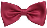 FLUGA