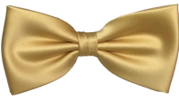 FLUGA