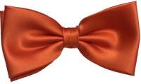 FLUGA