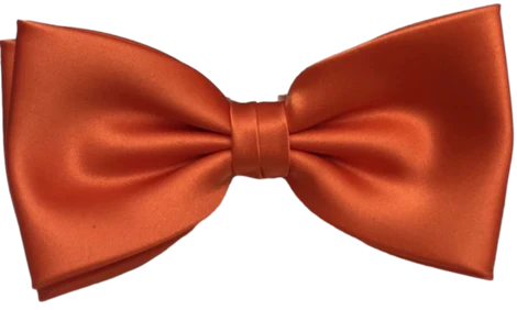 FLUGA