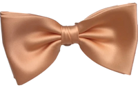 FLUGA