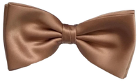 FLUGA