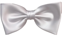 FLUGA