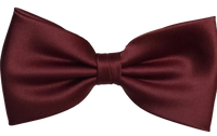 FLUGA