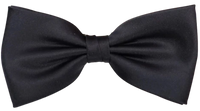 FLUGA