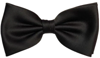 FLUGA